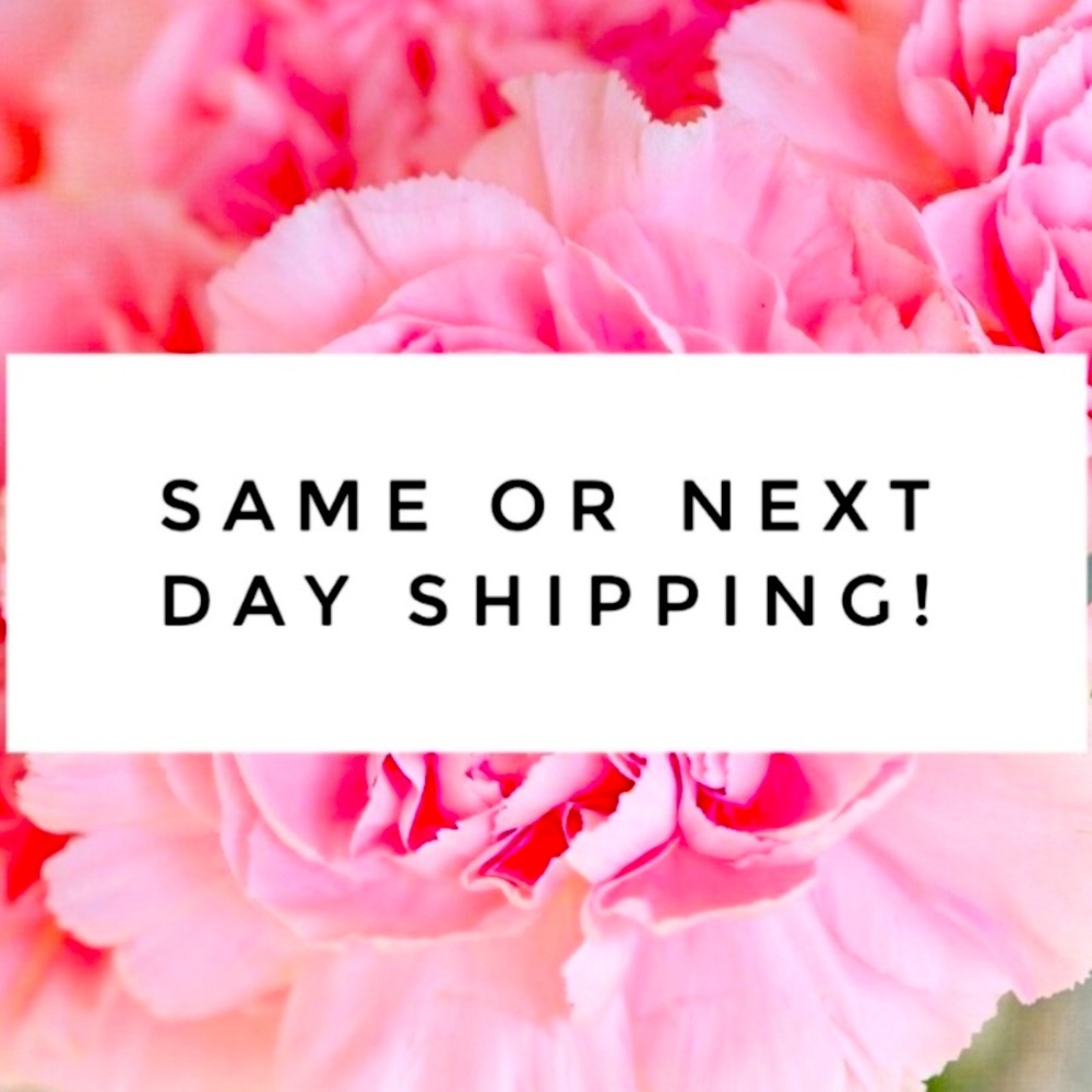 All items purchased today will be shipped same day (depending on time)